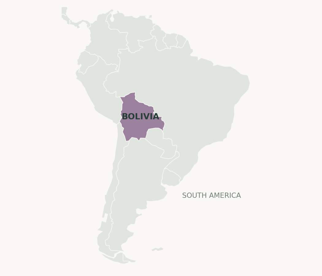 南アメリカの中でボリビアの国土を色分けした位置図